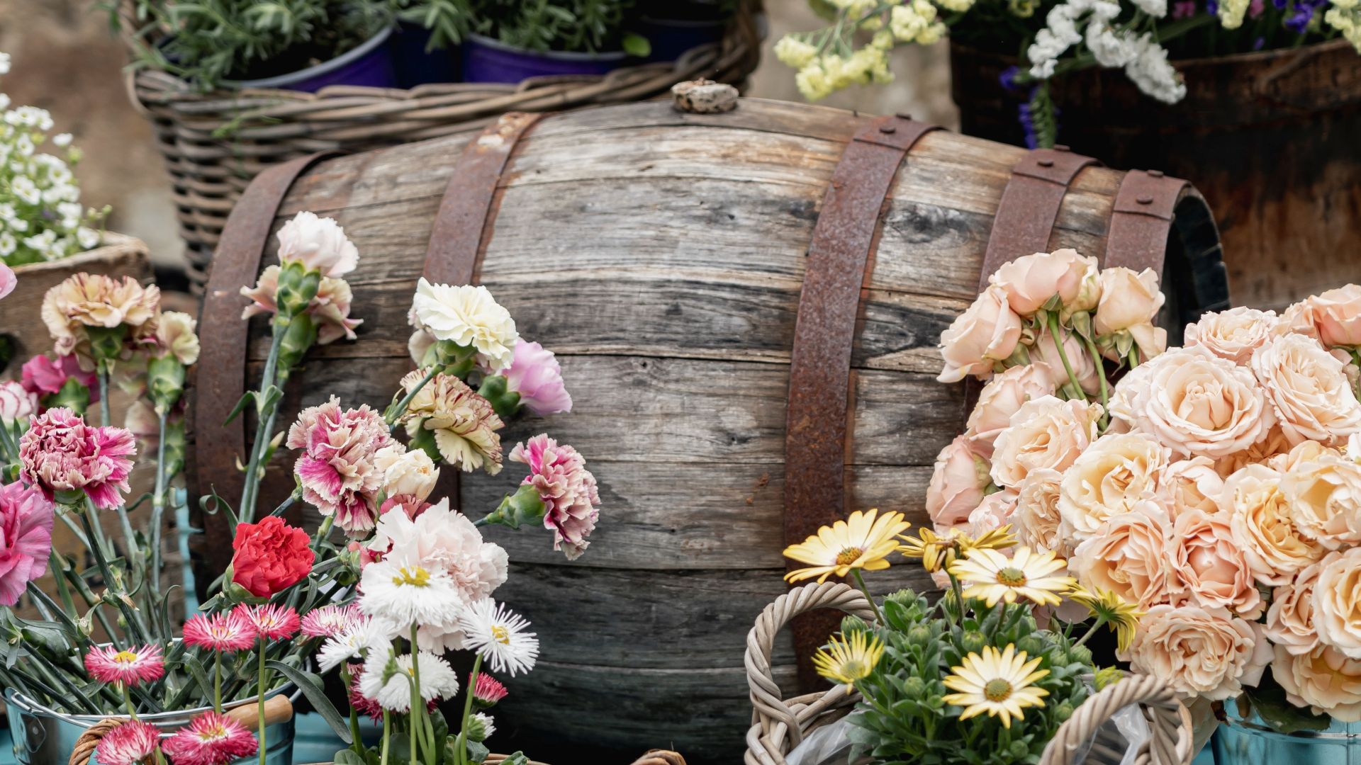 Castelfalfi Spring Festival 247