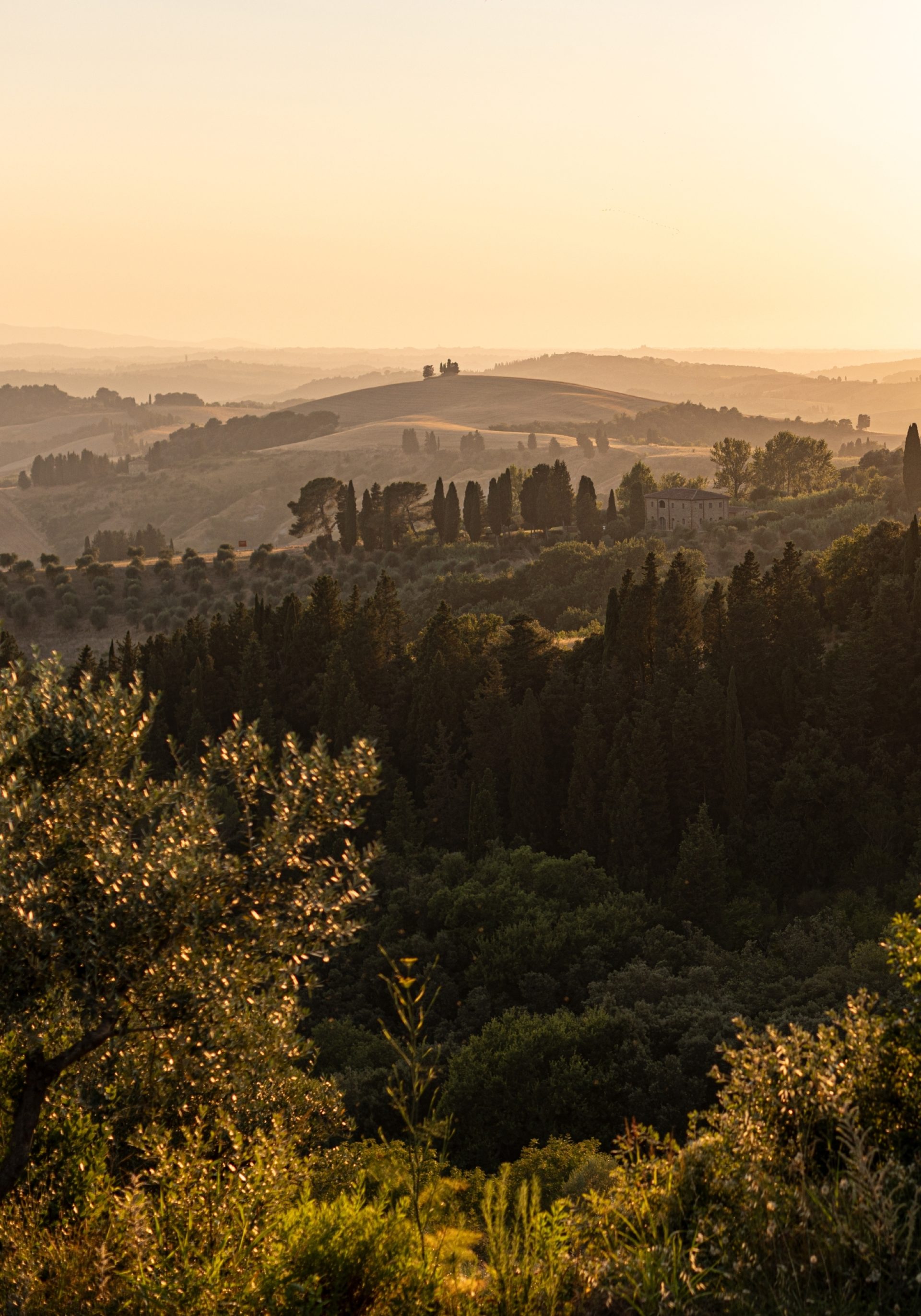 Advance booking offer