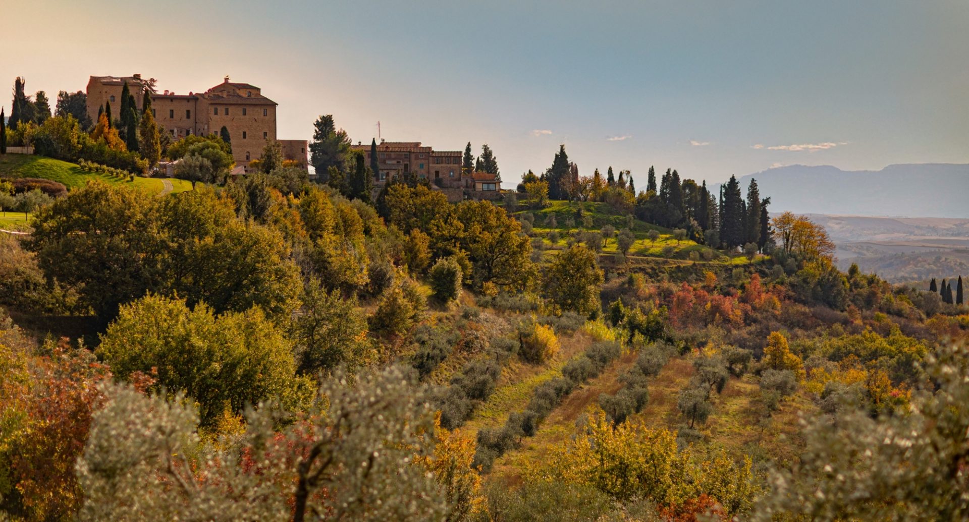 Header offerta Autunno 01