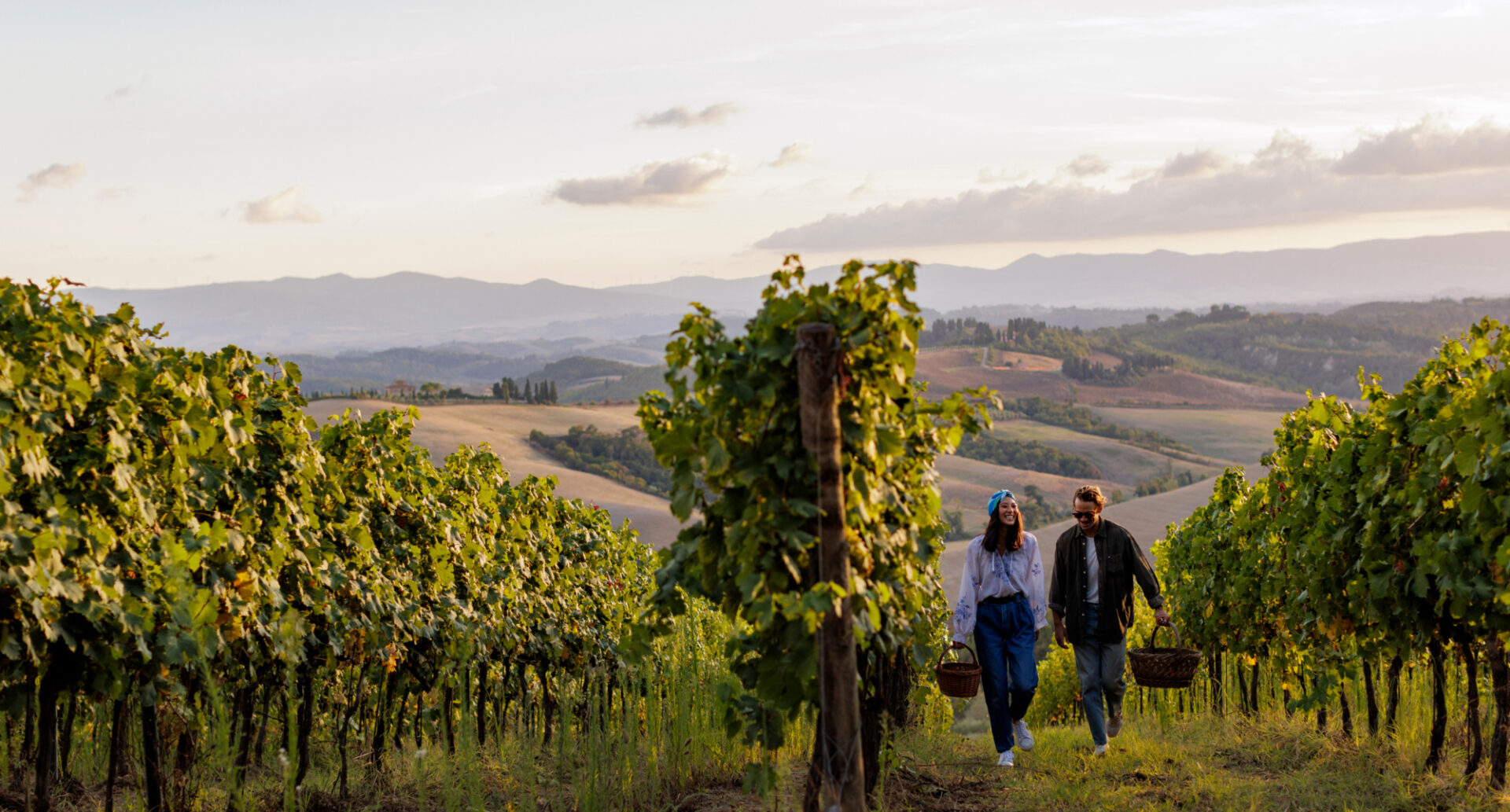 MOGGI33 2 C6 A0659 2023 11 22 093714 tmrx