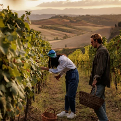 MOGGI29 2 C6 A0601 2023 09 28 105706 robs