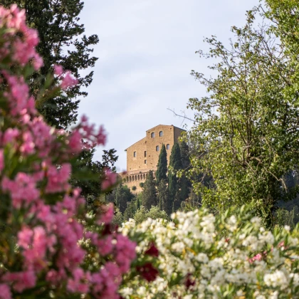 Castelfalfi Spring Festival 2024