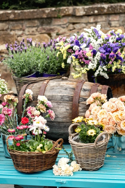 Castelfalfi Spring Festival 9