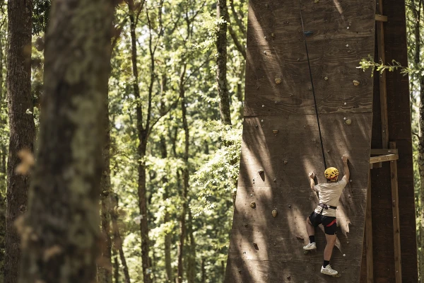 Card arrampicata sportiva