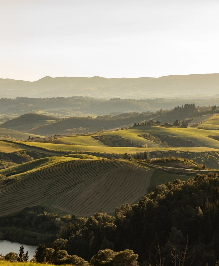 Landscape