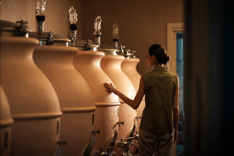 Castelfalfi Wine Tour Tasting in Tuscany 1