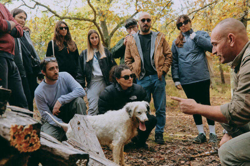 Experiences at Castelfalfi in Tuscany 5