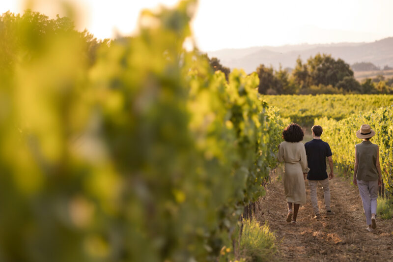 Wine Tour Tasting in Tuscany Castelfalfi Wine