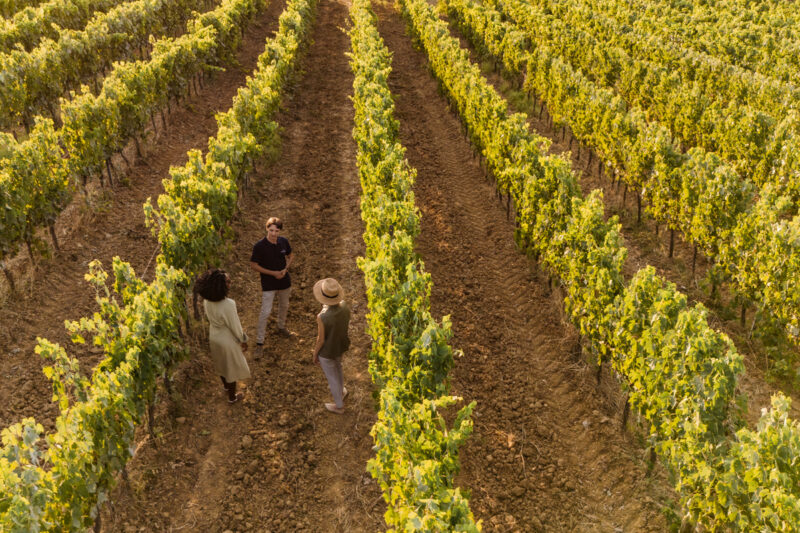 Wine Tour Tasting in Tuscany