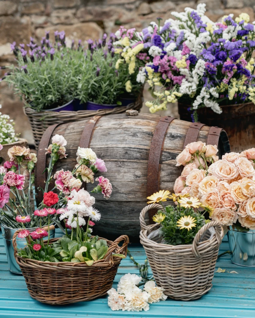 Spring festival cover