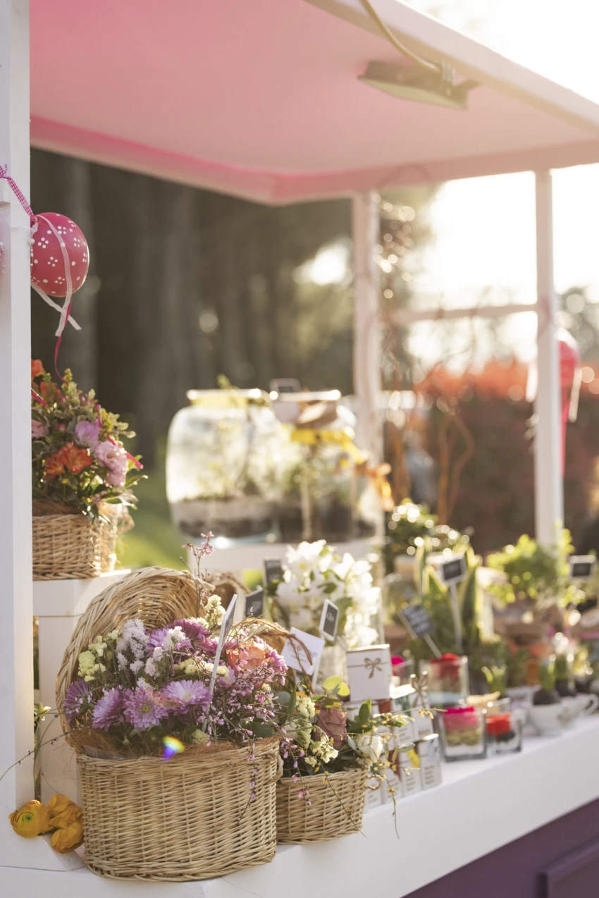 Spring Festival Alessandro Moggi 2026 525