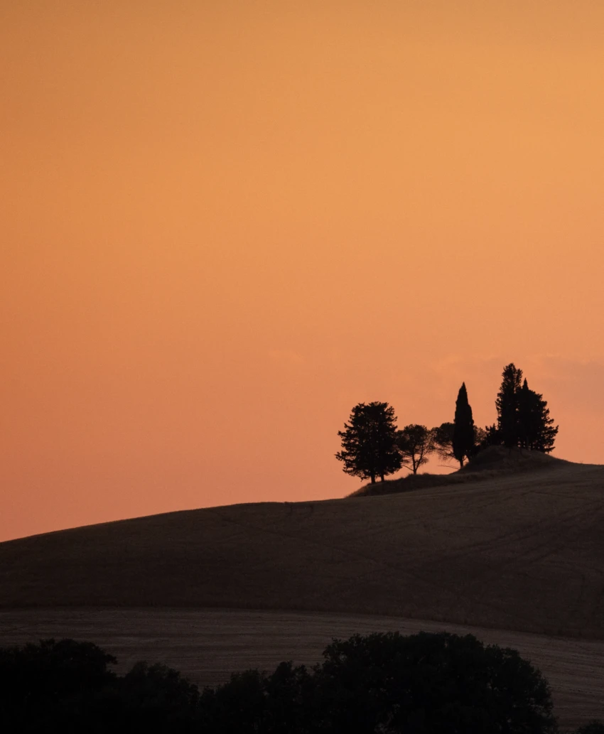 Sound of sunset 001 01
