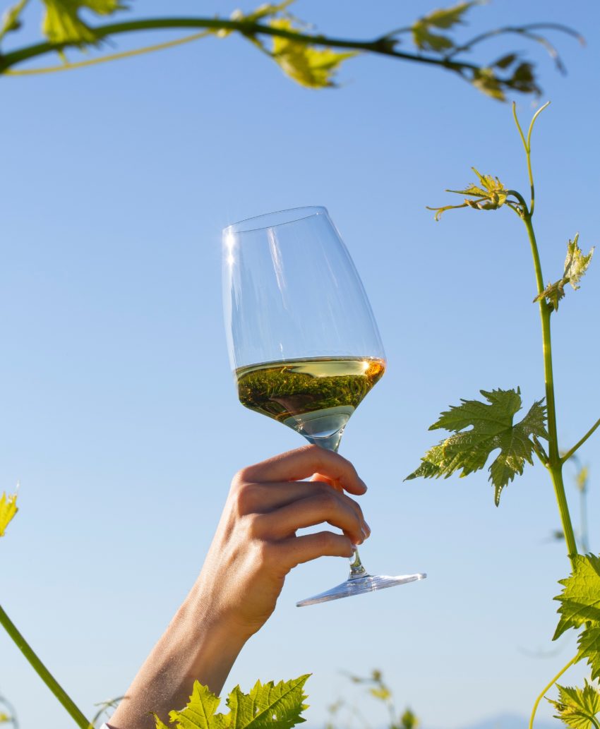 Our biological approach