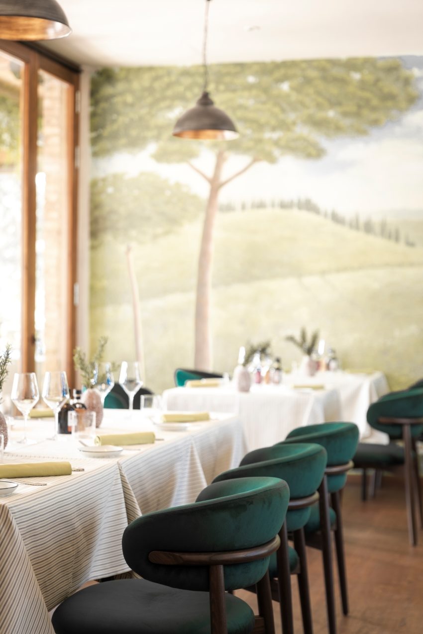 Rosmarino istituzionale 2