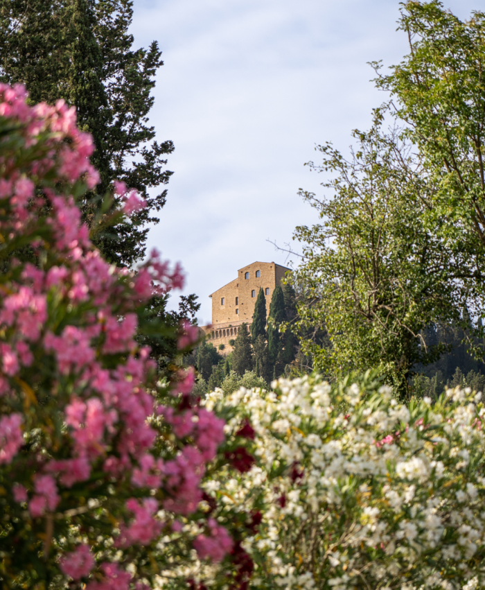 Castelfalfi Village 3